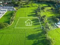 Ile kosztuje działka rolna? Sprawdź ceny i czynniki wpływające na wartość