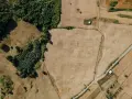 Działki z prawomocną WZ przed 30 czerwca 2026: inwestorzy widzą potencjał w krajobrazie pól i lasów.