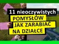 Jak zarobić na pustej działce? Sprawdzone sposoby i pomysły na dochód