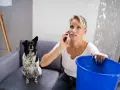 Zalanie sąsiada? Kto płaci? Sekrety ubezpieczenia OC najemcy w wynajmowanym lokalu. Kobieta z psem łapie wodę do wiadra.