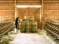 Czy rolnik płaci podatek od nieruchomości za budynek mieszkalny? Sprawdź warunki zwolnienia