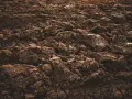 Gdzie sprawdzić klasę ziemi? Ziemia po orce, pełna grud i kamieni, czeka na analizę.