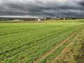 Działka rolno-budowlana – co to znaczy i jakie ma konsekwencje?