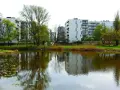 Co oznacza teren zieleni nieurządzonej i jakie ma ograniczenia?