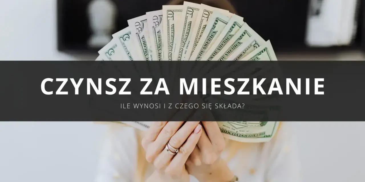 Ręce trzymające banknoty dolarów, symbolizujące wyższy czynsz za mieszkanie w bloku z 2025 roku.