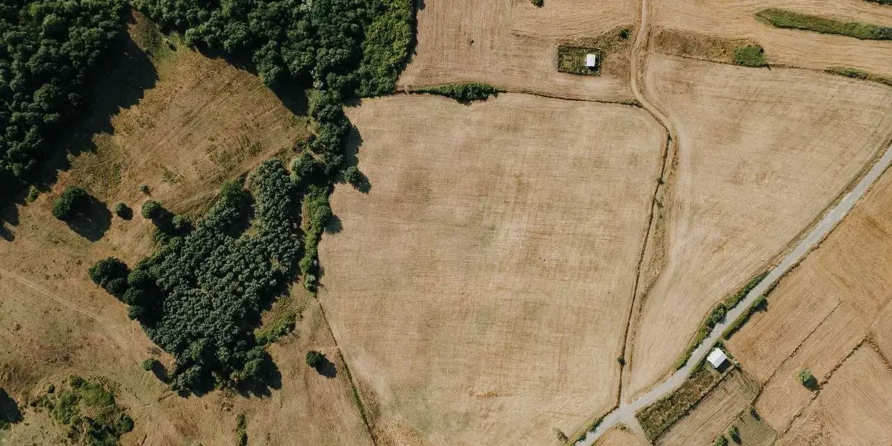 Działki z prawomocną WZ przed 30 czerwca 2026: inwestorzy widzą potencjał w krajobrazie pól i lasów.