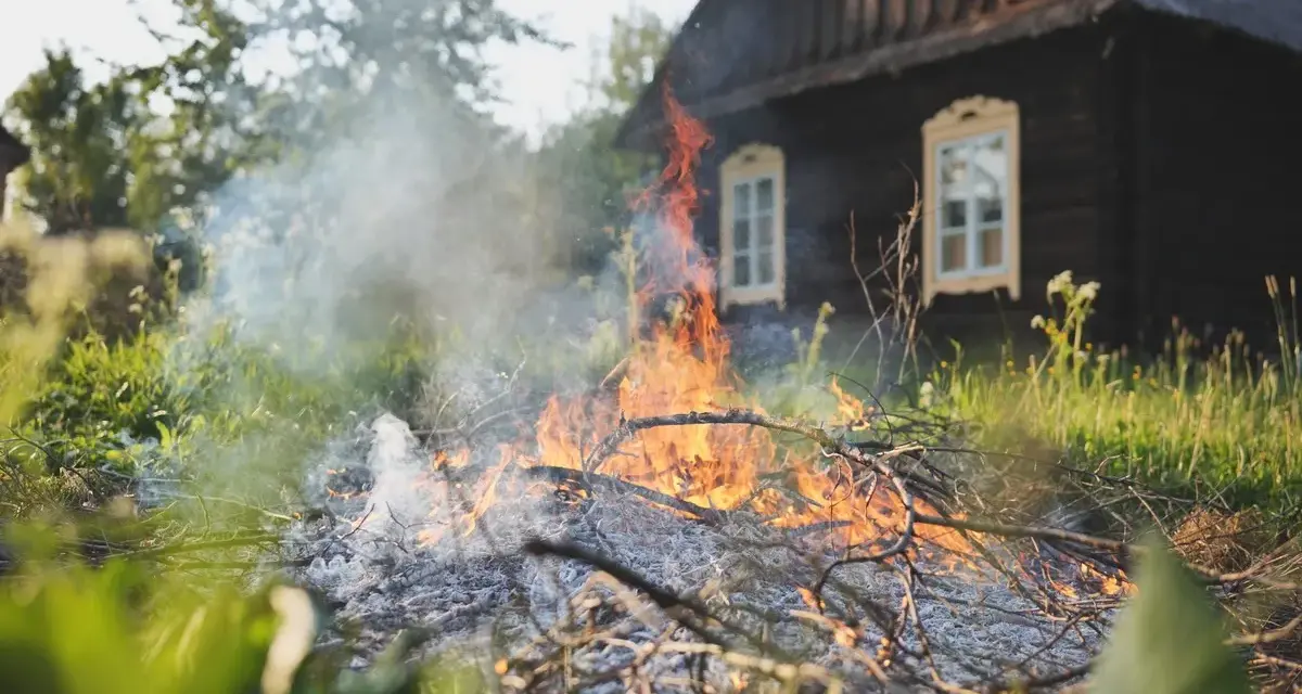 Czy można palić gałęzie na działce? Sprawdź, jakie są zakazy i kary