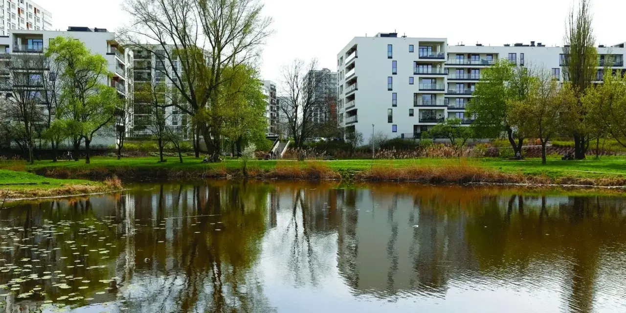 Co oznacza teren zieleni nieurządzonej i jakie ma ograniczenia?