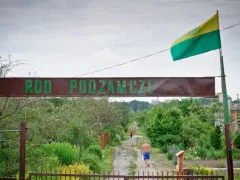 Kto stoi za kampanią "wolne działki ROD"? Czy protesty zablokują nowe przepisy? Wjazd do ROD Podzamcze, gdzie widać mężczyznę idącego ścieżką.