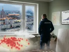 Sekrety walki z insektami w blokach: dezynsekcja jednego mieszkania nie działa, bo problem jest szerszy. Mapa pokazuje skalę plagi.