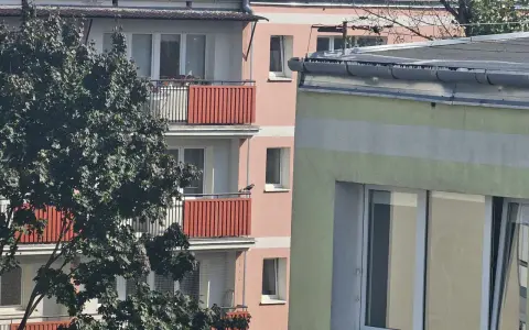 Ptak na balkonie bloku. Czy nowe przepisy o balkonach i tarasach podniosą opłaty na fundusz remontowy?