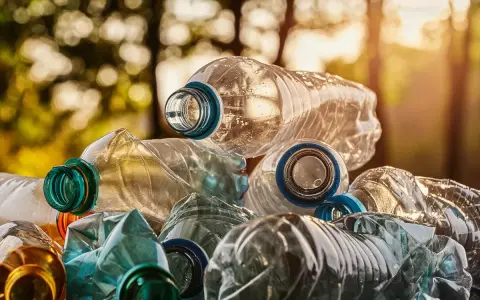 Stos plastikowych butelek czeka na recykling. Czy system kaucyjny za odpady budowlane na działce zostanie wprowadzony w 2026?