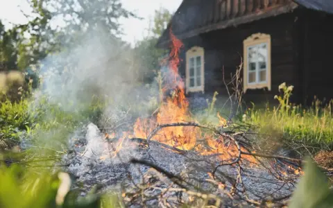 Czy można palić gałęzie na działce? Sprawdź, jakie są zakazy i kary