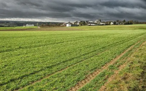 Działka rolno-budowlana – co to znaczy i jakie ma konsekwencje?