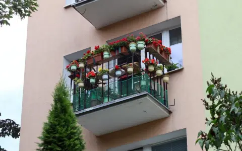Kwiaty na balkonie z wielkiej płyty. Czy to odzwierciedla prawdziwe koszty dobudowy zewnętrznych balkonów do bloków z wielkiej płyty?