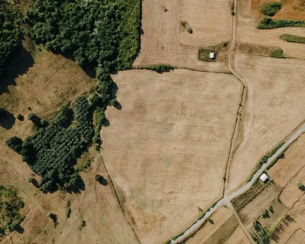Działki z prawomocną WZ przed 30 czerwca 2026: inwestorzy widzą potencjał w krajobrazie pól i lasów.