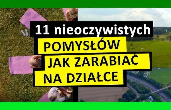 Jak zarobić na pustej działce? Sprawdzone sposoby i pomysły na dochód