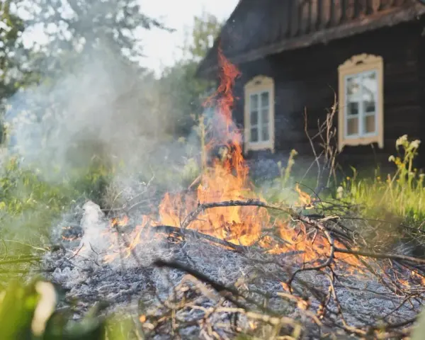 Czy można palić gałęzie na działce? Sprawdź, jakie są zakazy i kary