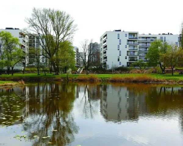 Co oznacza teren zieleni nieurządzonej i jakie ma ograniczenia?