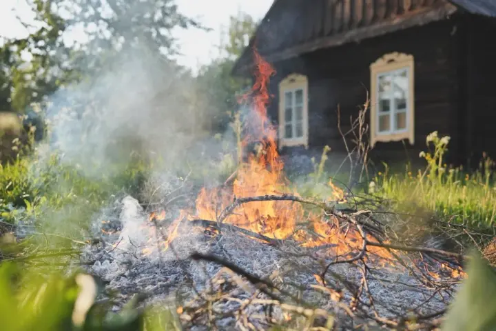Czy można palić gałęzie na działce? Sprawdź, jakie są zakazy i kary