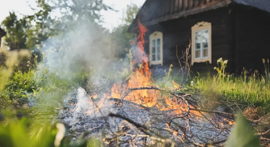 Czy można palić gałęzie na działce? Sprawdź, jakie są zakazy i kary