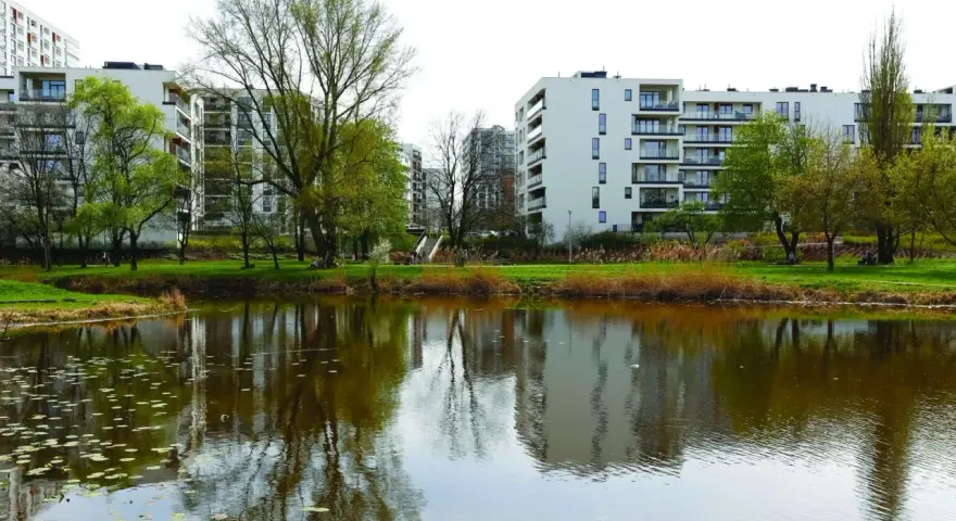 Co oznacza teren zieleni nieurządzonej i jakie ma ograniczenia?