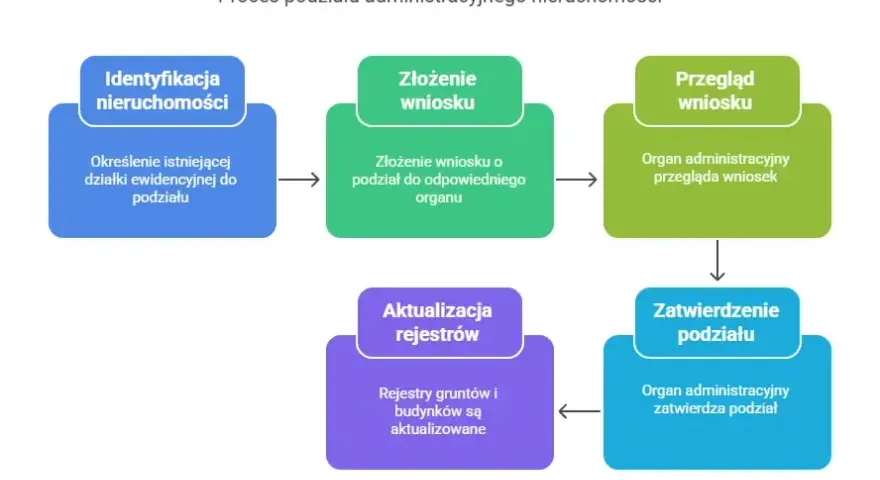Decyzja o podziale działki co dalej: kluczowe kroki, które musisz znać