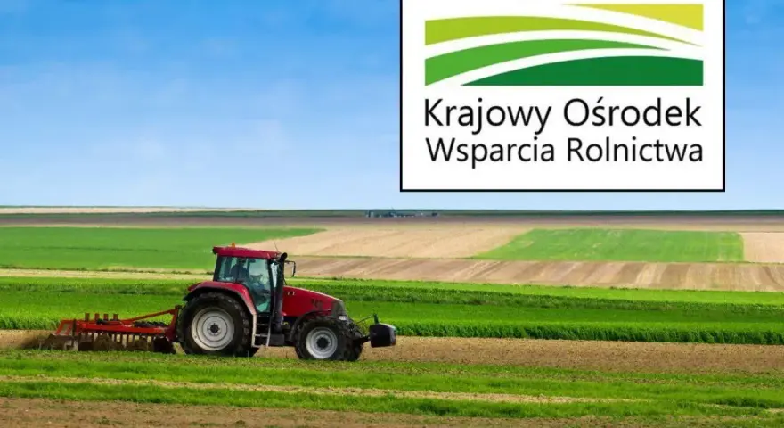 Kto kontroluje rynek obrotu ziemią rolną? Krajowy Ośrodek Wsparcia Rolnictwa nadzoruje, czy zakaz zakupu przez obcokrajowców działa.