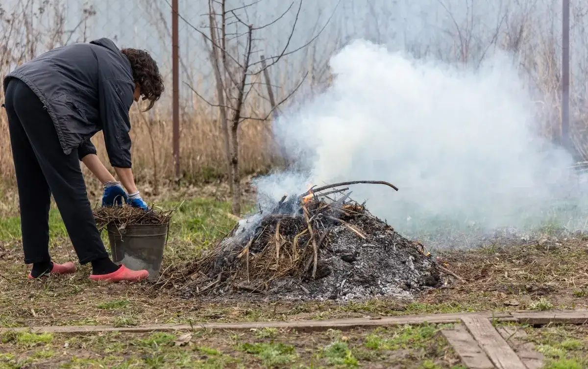 Zdjęcie Czy można palić gałęzie na działce? Sprawdź, jakie są zakazy i kary